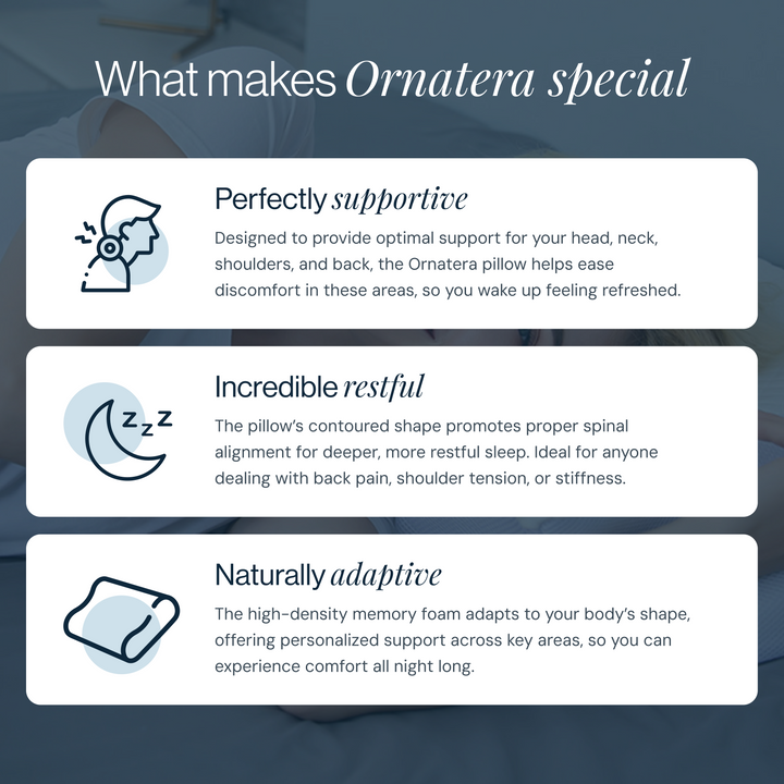 Ornatera Premium Relief Pillow