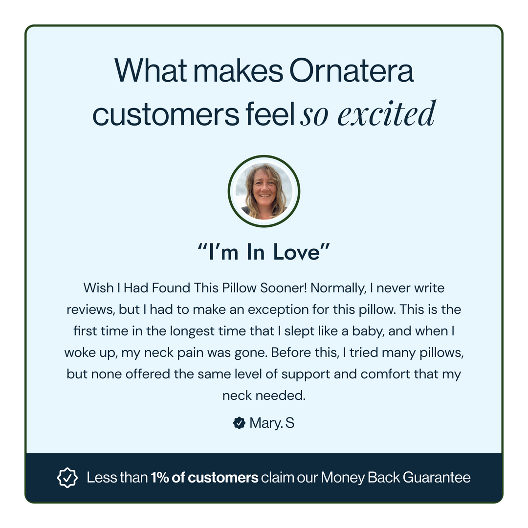 Ornatera Premium Relief Pillow