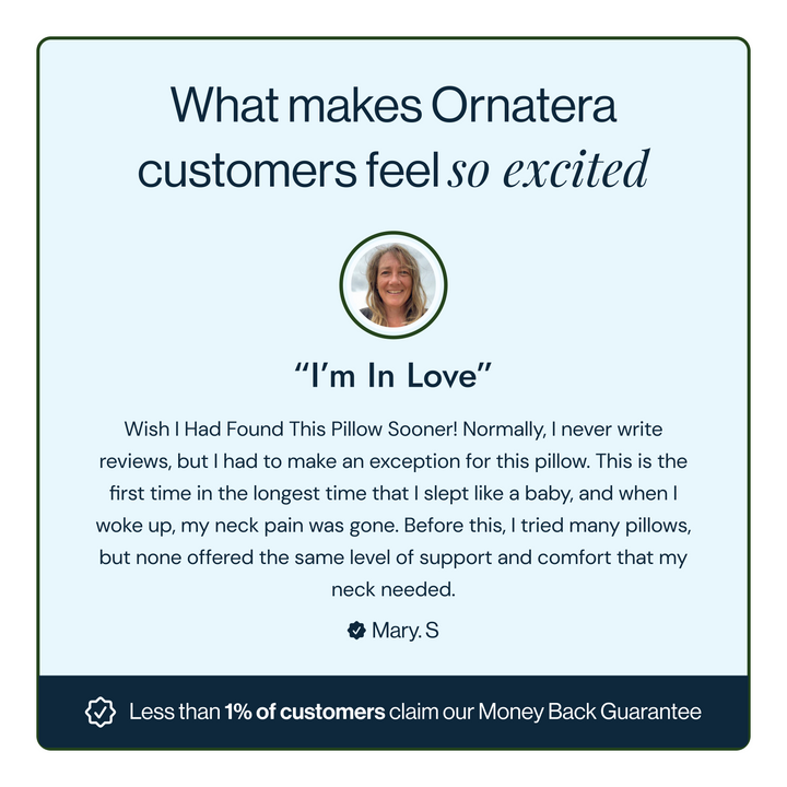 Ornatera Premium Relief Pillow