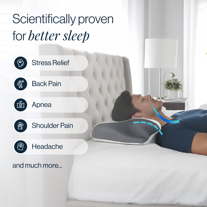 Ornatera Premium Relief Pillow